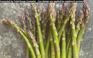 Good old, Asparagus
