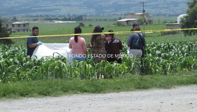 Misteriosa ola de feminicidios en el Estado de México