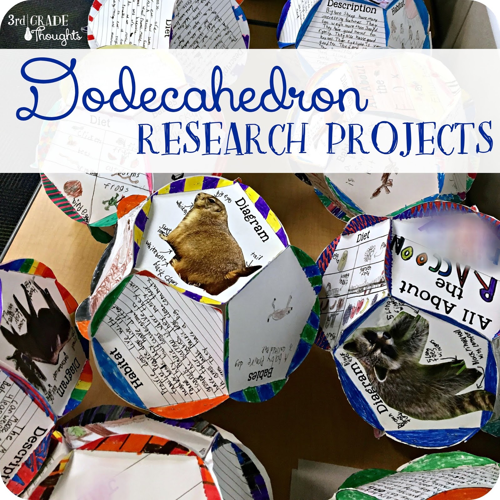 3rd grade research project template