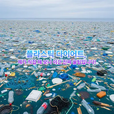 환경오염 플라스틱 다이어트,