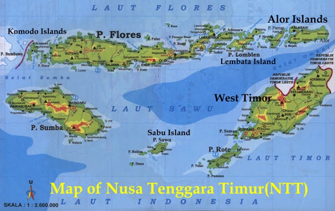 Tenun Ikat NTT SEKILAS TENTANG KAIN TENUN