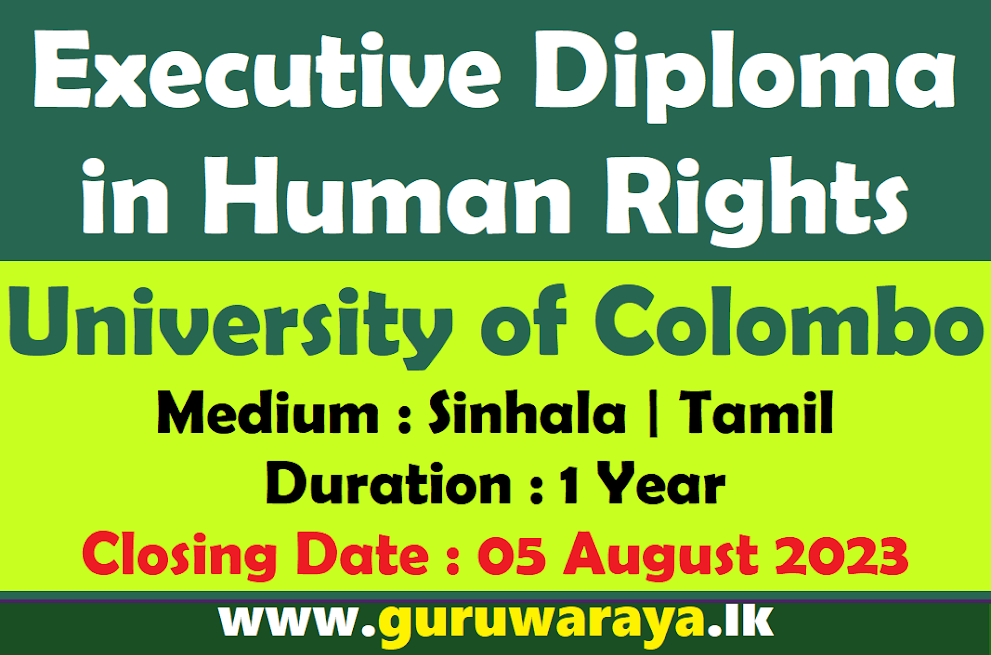 Executive Diploma in Human Rights 