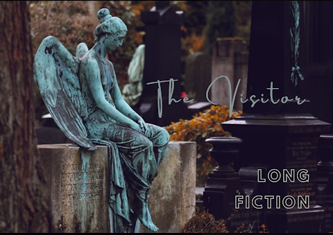 Long Fiction | The Visitor