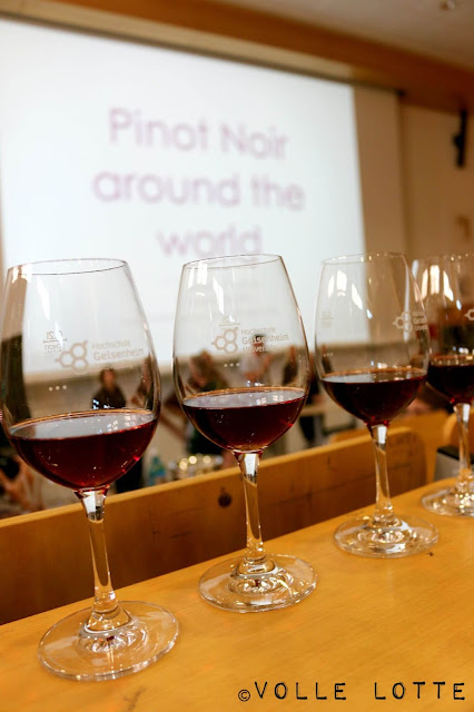 Pinot Noir, Spätburgunder, Caro Maurer, Verkostung, Blindverkostung 