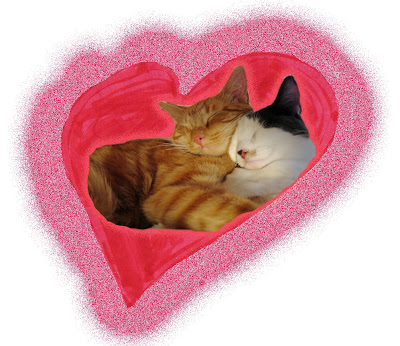 Valentine Kitties