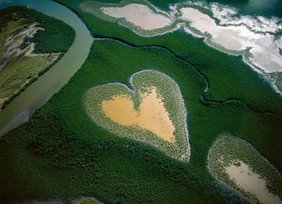 Beautiful Bird's-Eye Photos by Yann Arthus-Bertrand Seen On www.coolpicturegallery.us