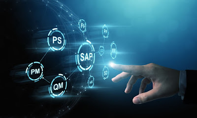 SAP System Access Online