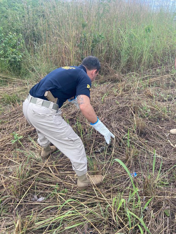 PRF resgata gato-maracajá atropelado na BR-343 em Parnaíba; animal é encaminhado ao Ibama 