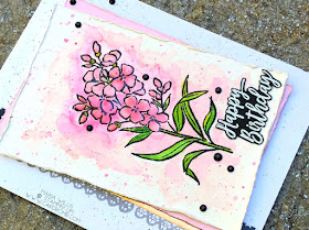 #cardbomb, Maria Willis, Stampin' Up!, Southern Serenade, watercolor, flowers, happy birthday, technique, cards, stamping, handmade, crafty, creative, ink, paper, papercraft, color, diy, rubber stamping, card making, color, gift giving