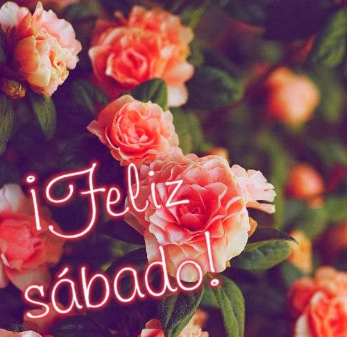 Flores Feliz Sábado - Fin de Semana