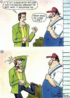 comic i hit a dog with my car what does it look like funny pictures, i hitted a dog, funny comics, funny pictures