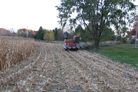corn harvest: is this farm organic? probably not