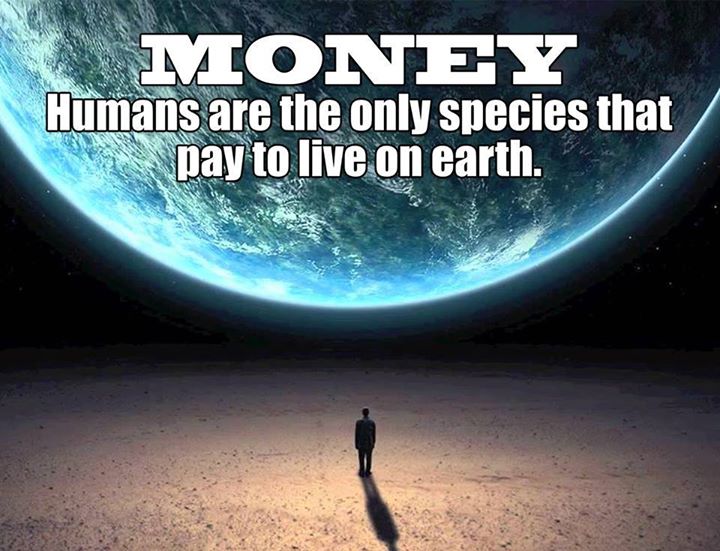 Humans are the only Species - Money Quotes Positive 