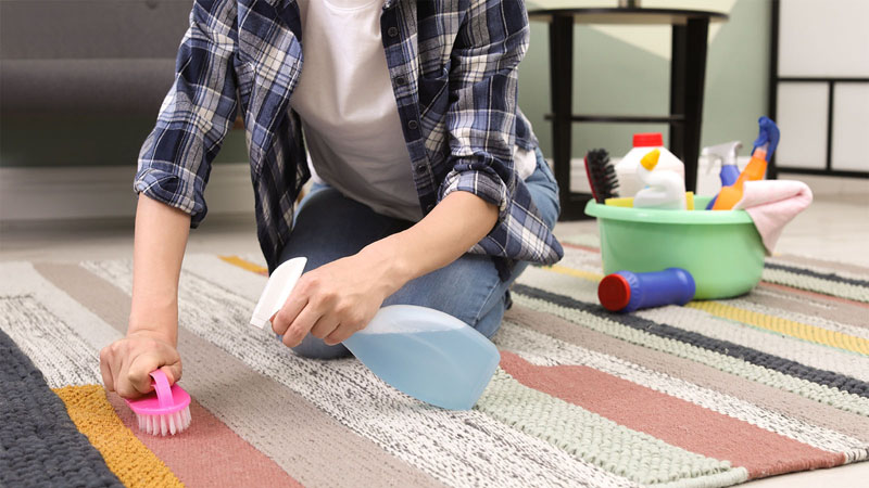 9 DIY Solutions for Carpet Stains