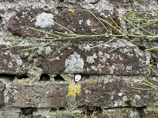 A photo of a small ceramic skull (Skulferatu 104) sitting in a gap between the red bricks of the platform.  Photograph by Kevin Nosferatu for the Skulferatu Project.
