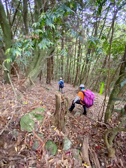 百志興保山下山途中