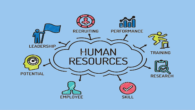 Types of Human Resource Management Software