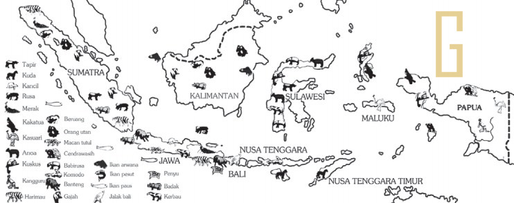 Pembagian Fauna di  Indonesia Wallace Weber Lydekker 