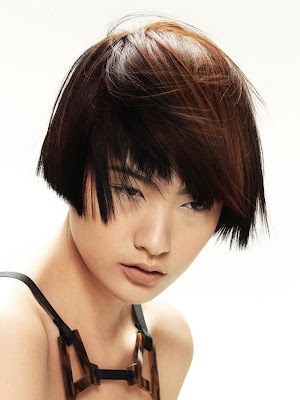 The Layered Bob Hairstyles