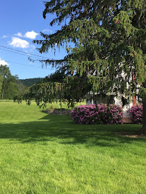 Climbing My Family Tree: Home of Richard and Mary Wilson, front view