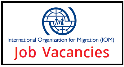 Job Vacancies International Organization for Migration