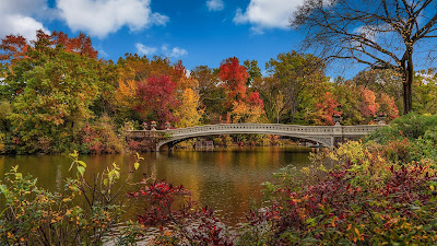 Bow Bridge in central park