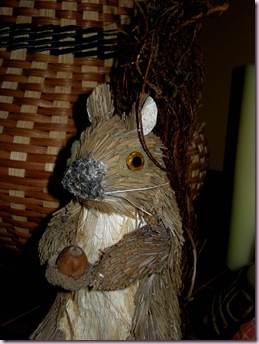 Squirrel1719