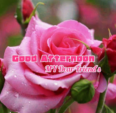 Good Afternoon Pictures Download