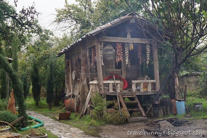 DSC05337