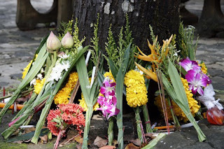 Flowers at Sam Kong Temple, Phuket