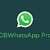 GBWhatsApp Pro Apk (v8.75)