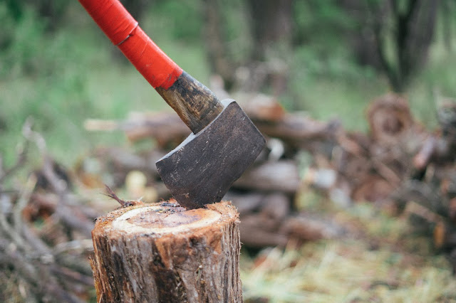 stump grinding