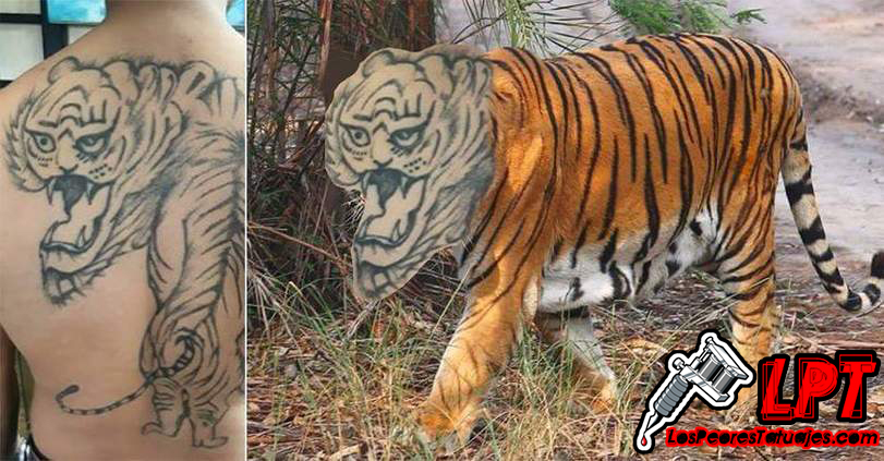 Meme Tatuaje Fail De Tigre En La Espalda Los Peores Tatuajes