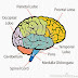 The Info Dysarthria is More Than a Slip of the Tongue | Health News