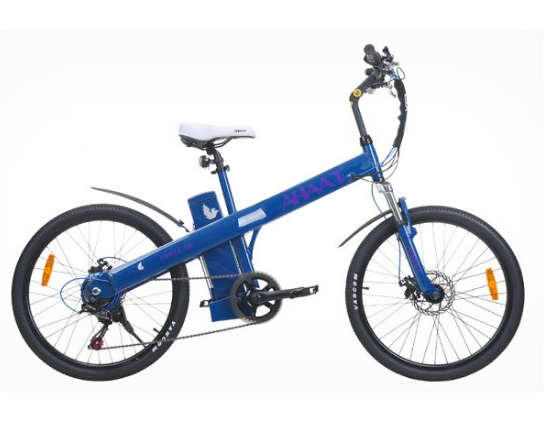 FORTESS Electric Bicycle