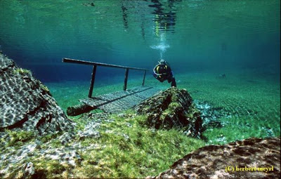 Beautiful Underwater Meadow