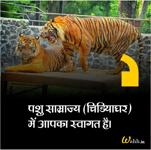 Zoo Quotes in Hindi For Instagram