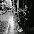 Ha Noi | Report 9 | The People of Tay Bac