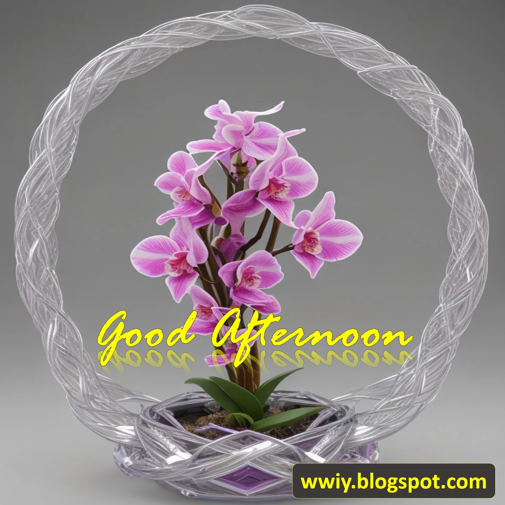 Good Afternoon Images With Flowers Free Download