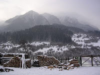 Piatra Craiului Mountains
