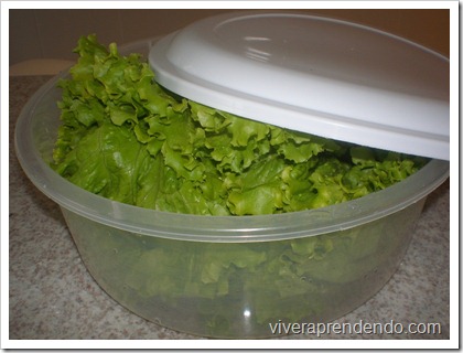 Higienizando Verduras1