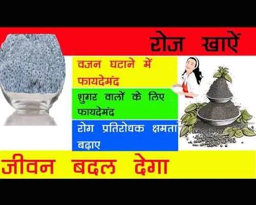 Tulsi ke beej ke fayde, Tulsi beej benefits in Hindi, sabja ke fayde, kaise khaayen tulsi ke beej, Tulsi ke beej se immunity kaise badhaye, Tulsi seed