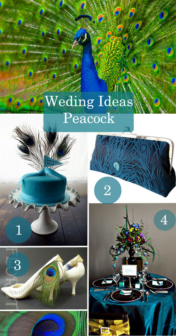 Wedding Ideas Peacock