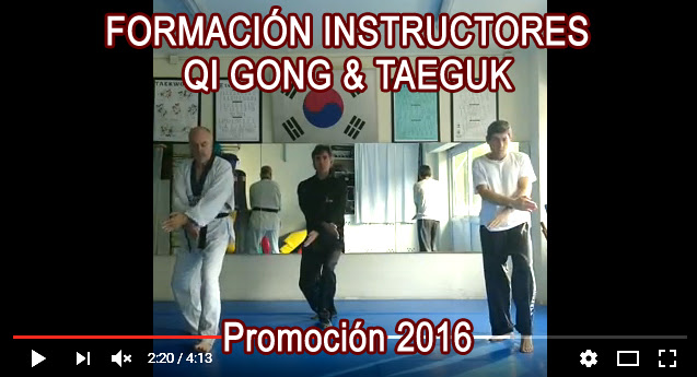 Resultado de imagen de formacion instructores qi gong y taeguk