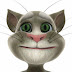 Talking Tom Cat 2 Free