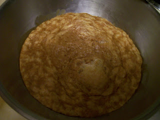 Home-made potato yeast from an 1860 cookbook.