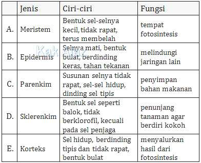 Hubungan antara jenis, ciri, dan fungsi jaringan tumbuhan, tabel soal Biologi UN 2015