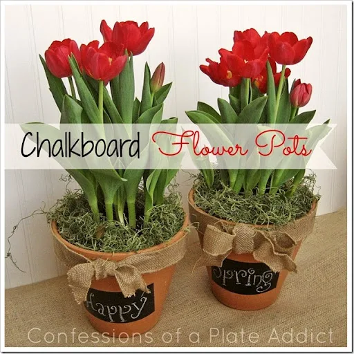 CONFESSIONS OF A PLATE ADDICT Chalkboard Flower Pots