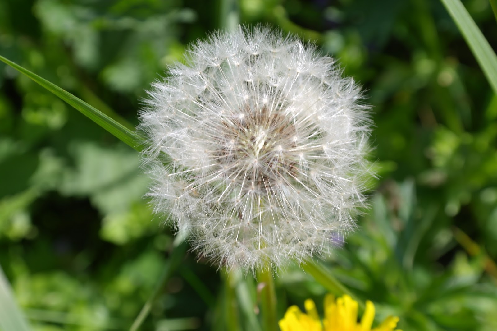 Und ehrlich gesagt sei Dankbar wenn solche Dinge in deinem Leben geschehen denn sie bieten Chance dass Du spirituell wächst Deinen Glauben stärken