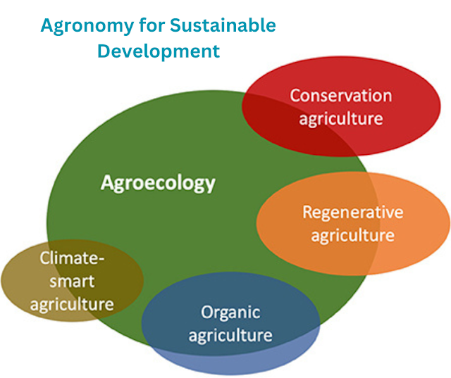 Agronomy for Sustainable Development.